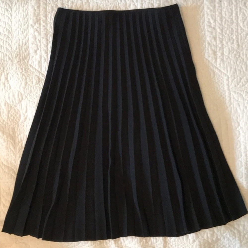 Everlane pleated skirt